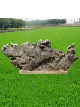 3#木化石