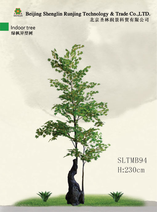 真绿枫异形树SLTMB94