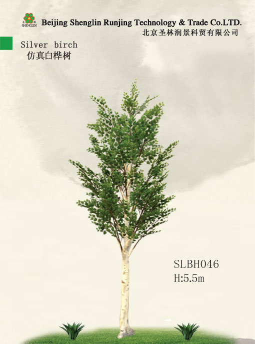 仿真白桦树SLBH046