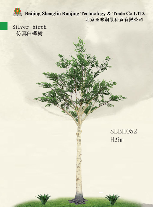 仿真白桦树SLBH052