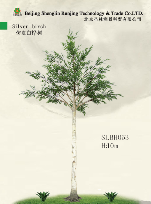 仿真白桦树SLBH053