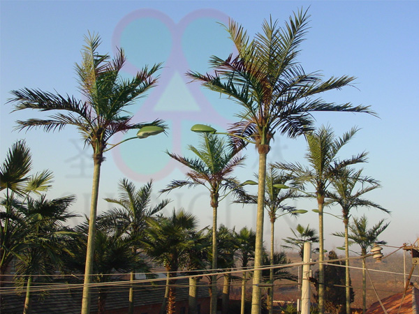 路灯景观椰子树