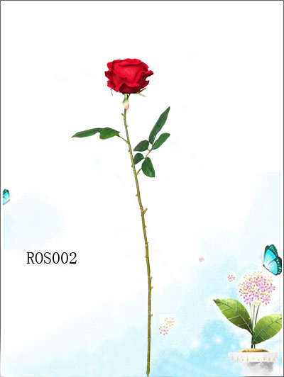 ROS002