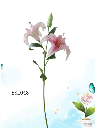 ESL043