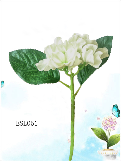 ESL051