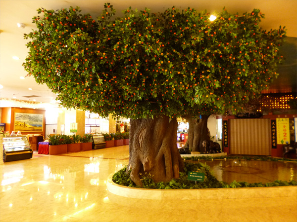 Banyan tree in hotel